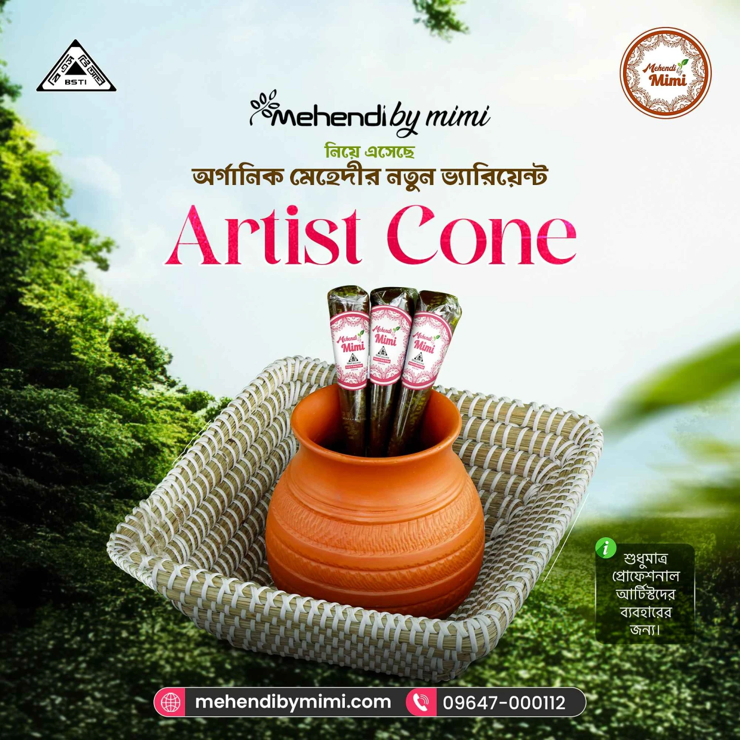 Artist Cone