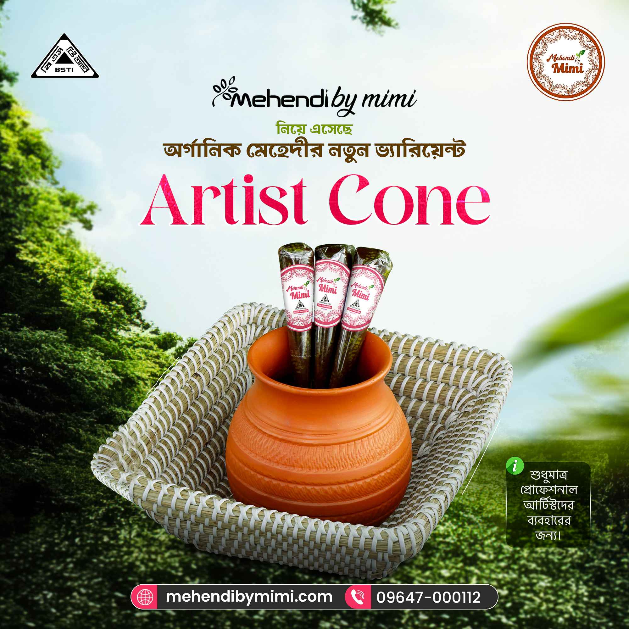 Artist Cone